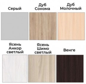 Шкаф-купе ХИТ 22-4-12/2-77 (420) в Салехарде - salekhard.ok-mebel.com | фото 3