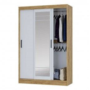 Шкаф-купе Тео ШКК-02 (крафт/белый) в Салехарде - salekhard.ok-mebel.com | фото 3
