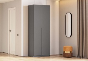 Шкаф платяной Даиго в Салехарде - salekhard.ok-mebel.com | фото 3