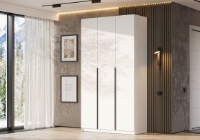 Шкаф платяной Даиго в Салехарде - salekhard.ok-mebel.com | фото 3