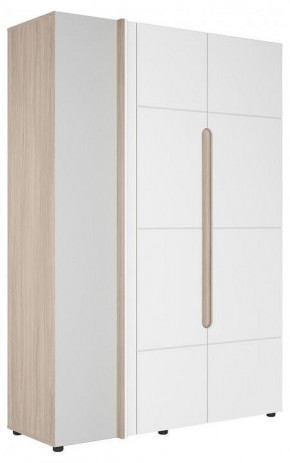 Шкаф платяной Данк в Салехарде - salekhard.ok-mebel.com | фото