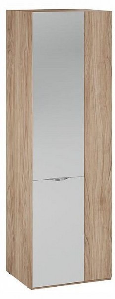 Шкаф платяной Глосс СМ-319.07.007 в Салехарде - salekhard.ok-mebel.com | фото