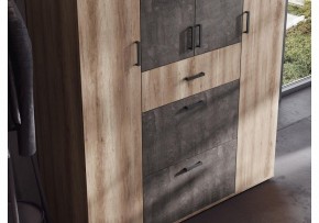 Шкаф платяной Паркинс в Салехарде - salekhard.ok-mebel.com | фото 3