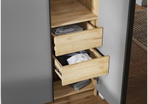 Шкаф платяной Широн в Салехарде - salekhard.ok-mebel.com | фото 3