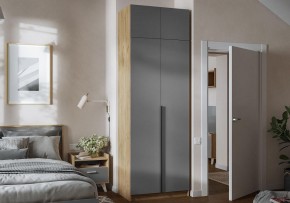 Шкаф платяной Широн в Салехарде - salekhard.ok-mebel.com | фото 4
