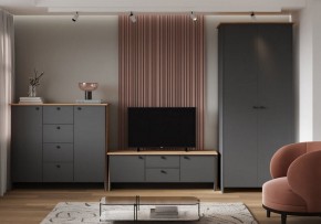 Шкаф платяной Теодора в Салехарде - salekhard.ok-mebel.com | фото 3