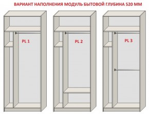 Шкаф распашной серия «ЗЕВС» (PL3/С1/PL2) Серый камень/Небраска натуральный в Салехарде - salekhard.ok-mebel.com | фото 5