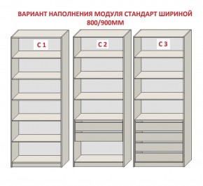 Шкаф распашной серия «ЗЕВС» (PL3/С1/PL2) Серый камень/Небраска натуральный в Салехарде - salekhard.ok-mebel.com | фото 6