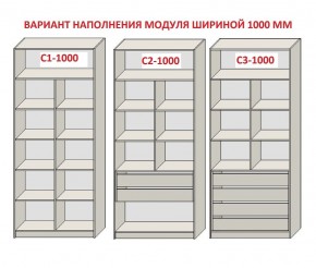 Шкаф распашной серия «ЗЕВС» (PL3/С1/PL2) Серый камень/Небраска натуральный в Салехарде - salekhard.ok-mebel.com | фото 7