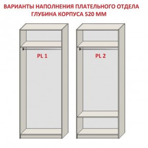 Шкаф распашной серия «ЗЕВС» (PL3/С1/PL2) Серый камень/Небраска натуральный в Салехарде - salekhard.ok-mebel.com | фото 9