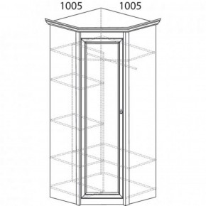 Шкаф угловой №662 "Флоренция" Фасад глухой (угол 1005*1005) Дуб оксфорд в Салехарде - salekhard.ok-mebel.com | фото 3