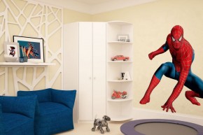 Шкаф угловой Мария 880*880 (ЛДСП 1 кат.) в Салехарде - salekhard.ok-mebel.com | фото 4