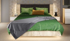 Спальня Джулия Кровать 160 МИ с подъемным механизмом Дуб крафт серый в Салехарде - salekhard.ok-mebel.com | фото 4