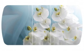 Стол Бостон-3 (Белая Орхидея) 1100/1420*700, опора Брифинг в Салехарде - salekhard.ok-mebel.com | фото 2