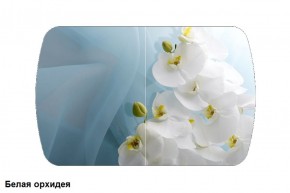 Стол Бостон 900*600 (опоры Брифинг) Стекло/фотопечать Белая Орхидея в Салехарде - salekhard.ok-mebel.com | фото