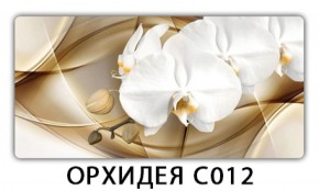 Стол раздвижной Трилогия с фотопечатью Орхидея C012 в Салехарде - salekhard.ok-mebel.com | фото 13