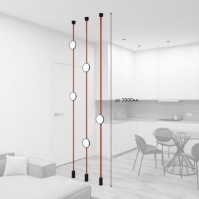 Светильник на растяжке Denkirs Belty SET DK55SET19-01-BR в Салехарде - salekhard.ok-mebel.com | фото 3
