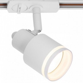 Светильник на штанге Citilux Bruno CL565T10 в Салехарде - salekhard.ok-mebel.com | фото 2