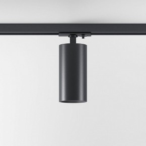 Светильник на штанге Elektrostandard Comel a070801 в Салехарде - salekhard.ok-mebel.com | фото 2