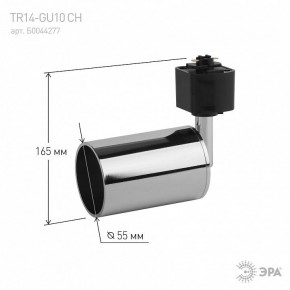 Светильник на штанге Эра  TR14-GU10 CH в Салехарде - salekhard.ok-mebel.com | фото 4