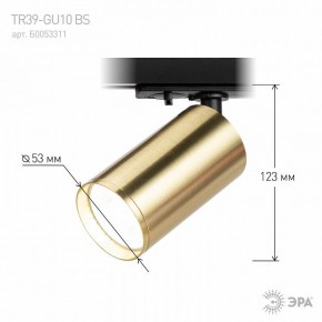 Светильник на штанге Эра  TR39-GU10 BS в Салехарде - salekhard.ok-mebel.com | фото 6