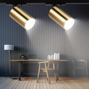 Светильник на штанге Эра  TR39-GU10 BS в Салехарде - salekhard.ok-mebel.com | фото 7