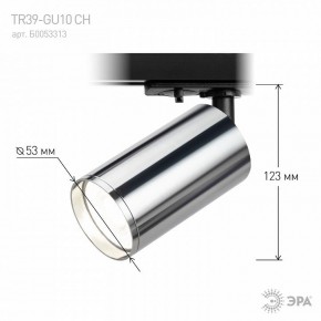 Светильник на штанге Эра  TR39-GU10 СН в Салехарде - salekhard.ok-mebel.com | фото 7