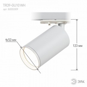 Светильник на штанге Эра  TR39-GU10 WH в Салехарде - salekhard.ok-mebel.com | фото 7