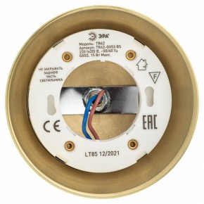 Светильник на штанге Эра  TR42-GX53 BS в Салехарде - salekhard.ok-mebel.com | фото 5