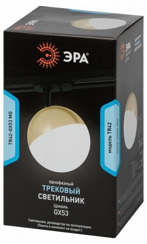 Светильник на штанге Эра  TR42-GX53 MG в Салехарде - salekhard.ok-mebel.com | фото 6