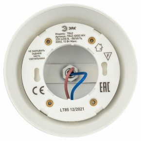Светильник на штанге Эра  TR42-GX53 WH в Салехарде - salekhard.ok-mebel.com | фото 5