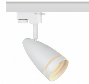 Светильник на штанге Эра  TR49 - GU10 WH в Салехарде - salekhard.ok-mebel.com | фото
