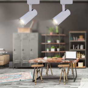Светильник на штанге Эра  TR5-20 COB WH в Салехарде - salekhard.ok-mebel.com | фото 4