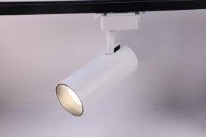 Светильник на штанге Эра  TR5-30 COB WH в Салехарде - salekhard.ok-mebel.com | фото 2