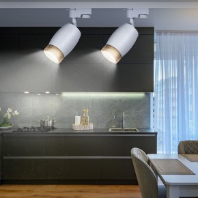 Светильник на штанге Эра  TR51 - GU10 WH в Салехарде - salekhard.ok-mebel.com | фото 3