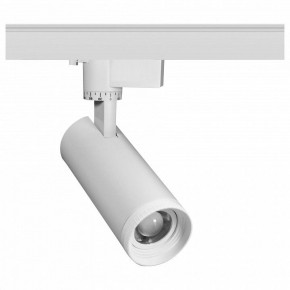 Светильник на штанге Эра  TR59 - 2030 WH в Салехарде - salekhard.ok-mebel.com | фото