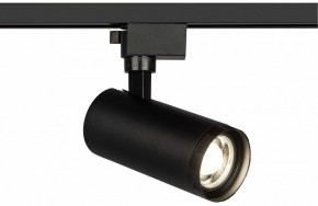 Светильник на штанге Эра  TR59 - 2040 BK в Салехарде - salekhard.ok-mebel.com | фото