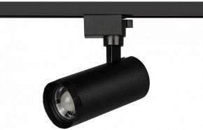 Светильник на штанге Эра  TR59 - 2040 BK в Салехарде - salekhard.ok-mebel.com | фото 2