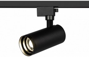 Светильник на штанге Эра  TR59 - 2040 BK в Салехарде - salekhard.ok-mebel.com | фото 5