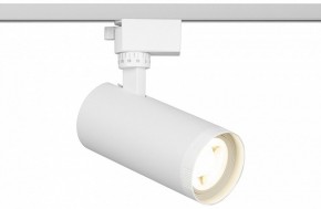 Светильник на штанге Эра  TR59 - 2040 WH в Салехарде - salekhard.ok-mebel.com | фото