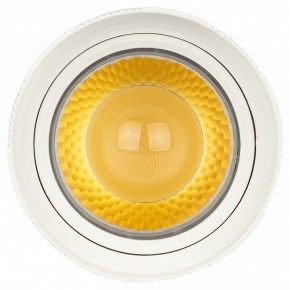 Светильник на штанге Эра  TR59 - 2040 WH в Салехарде - salekhard.ok-mebel.com | фото 3