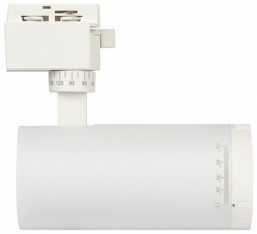 Светильник на штанге Эра  TR59 - 2040 WH в Салехарде - salekhard.ok-mebel.com | фото 4