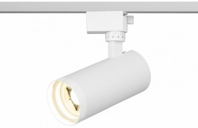 Светильник на штанге Эра  TR59 - 2040 WH в Салехарде - salekhard.ok-mebel.com | фото 5