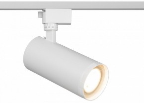 Светильник на штанге Эра  TR59 - 3030 WH в Салехарде - salekhard.ok-mebel.com | фото