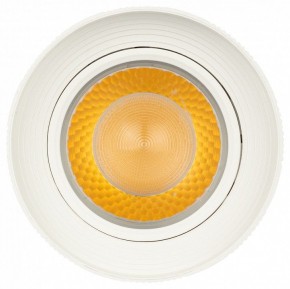 Светильник на штанге Эра  TR59 - 3030 WH в Салехарде - salekhard.ok-mebel.com | фото 3