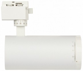 Светильник на штанге Эра  TR59 - 3030 WH в Салехарде - salekhard.ok-mebel.com | фото 4