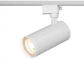 Светильник на штанге Эра  TR59 - 3030 WH в Салехарде - salekhard.ok-mebel.com | фото 5