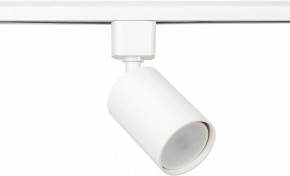Светильник на штанге Эра  TR76 - GU10 WH в Салехарде - salekhard.ok-mebel.com | фото