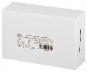 Светильник на штанге Эра  TRM-S5-3-12W4K-BK в Салехарде - salekhard.ok-mebel.com | фото 8