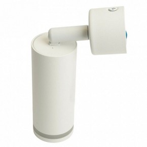 Светильник на штанге Feron ML1001 51370 в Салехарде - salekhard.ok-mebel.com | фото 6